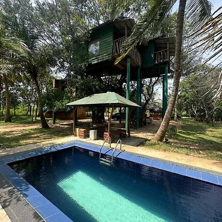 Yala Eco Tree House New Tissamaharama Exterior foto