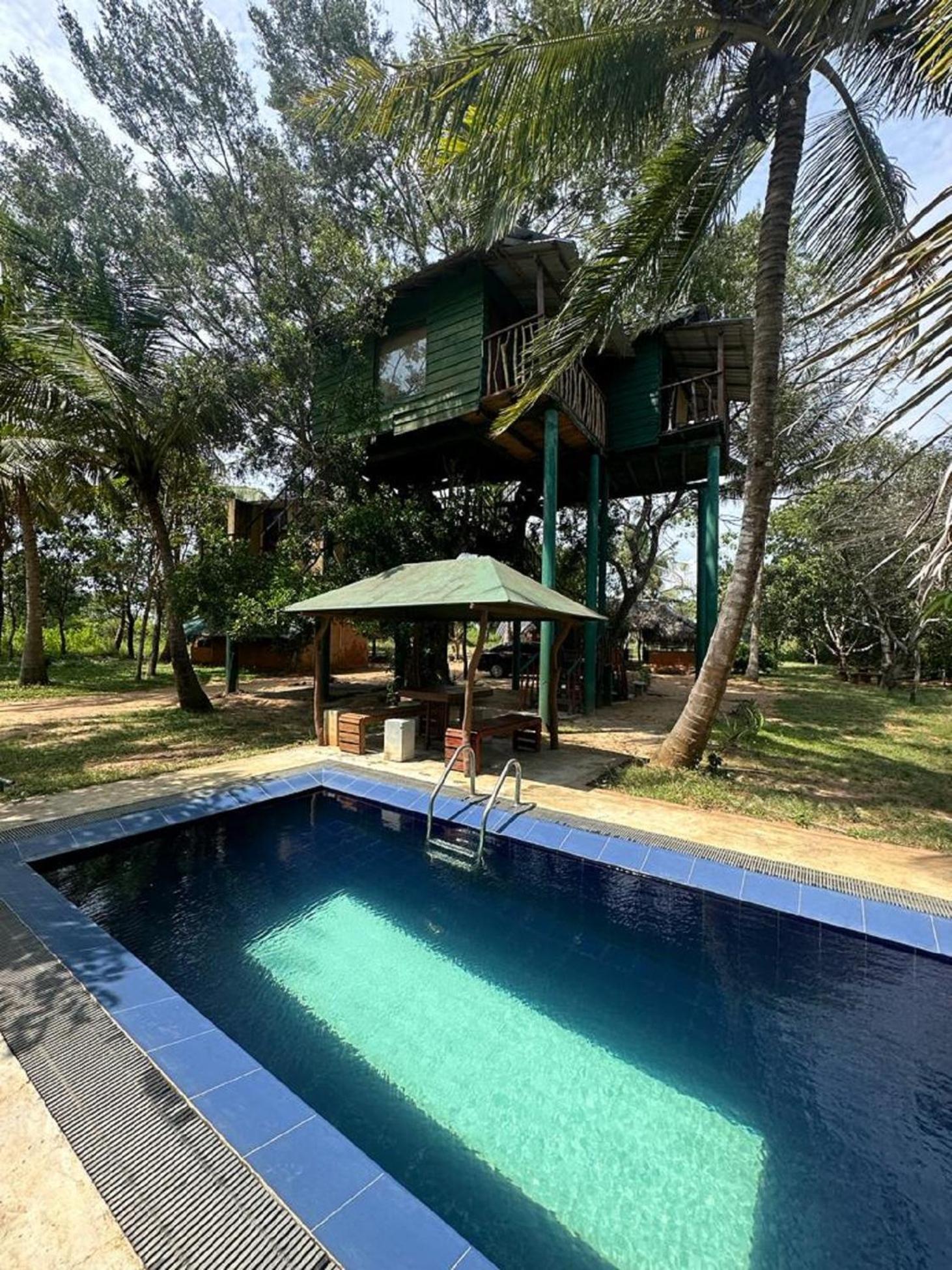 Yala Eco Tree House New Tissamaharama Exterior foto