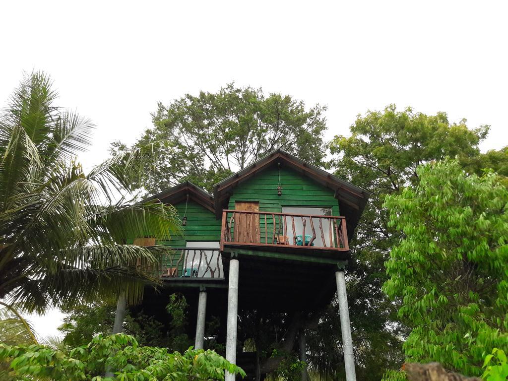 Yala Eco Tree House New Tissamaharama Exterior foto