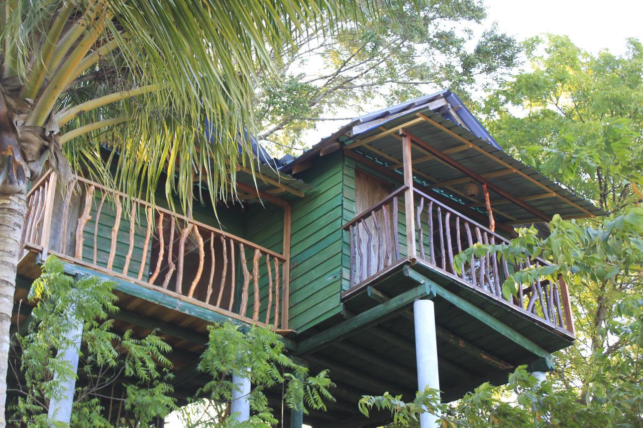 Yala Eco Tree House New Tissamaharama Exterior foto