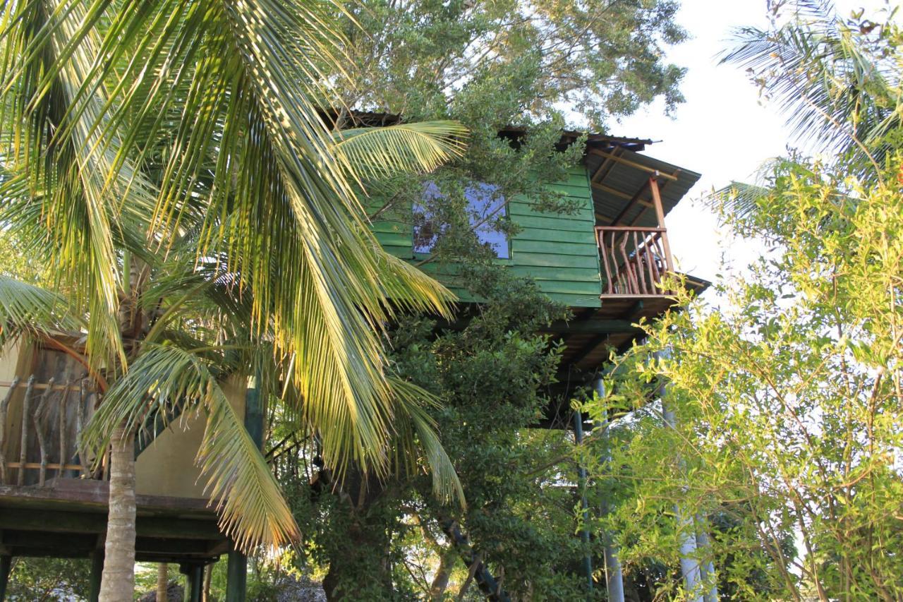 Yala Eco Tree House New Tissamaharama Exterior foto