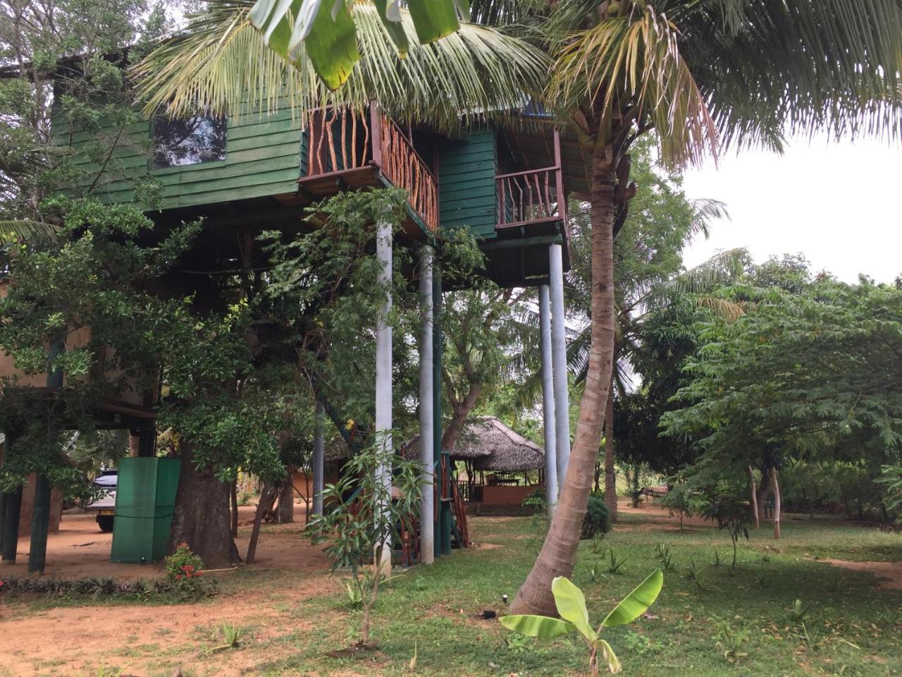 Yala Eco Tree House New Tissamaharama Exterior foto